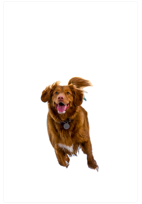 After - Background removed