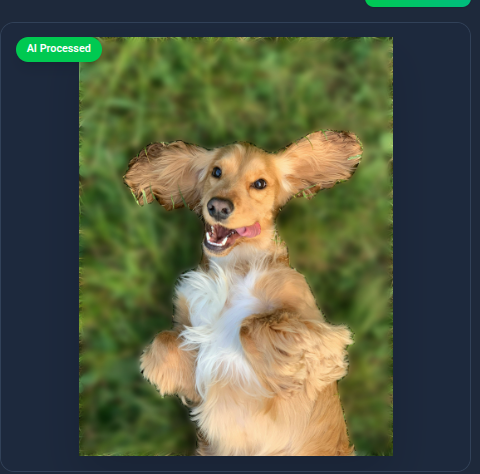 After - Dog portrait with blurred background